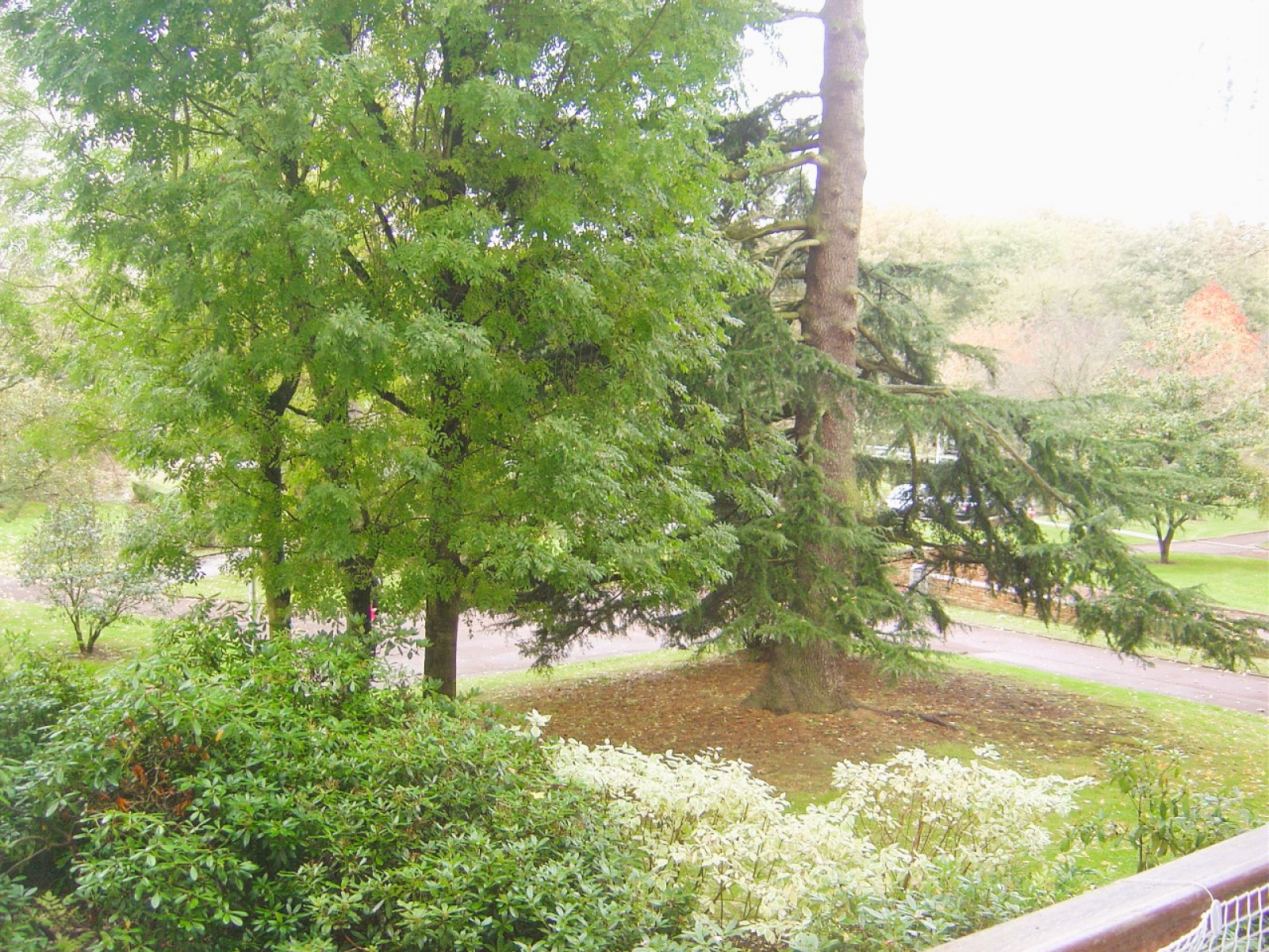 Image_, Appartement, Vélizy-Villacoublay, ref :821