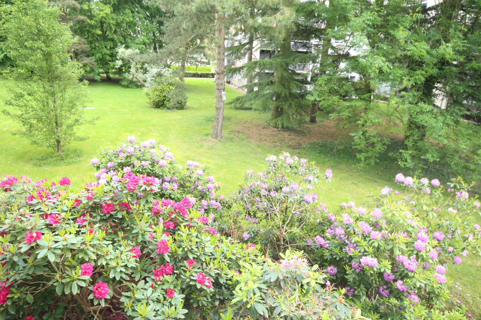 Image_, Appartement, Vélizy-Villacoublay, ref :815