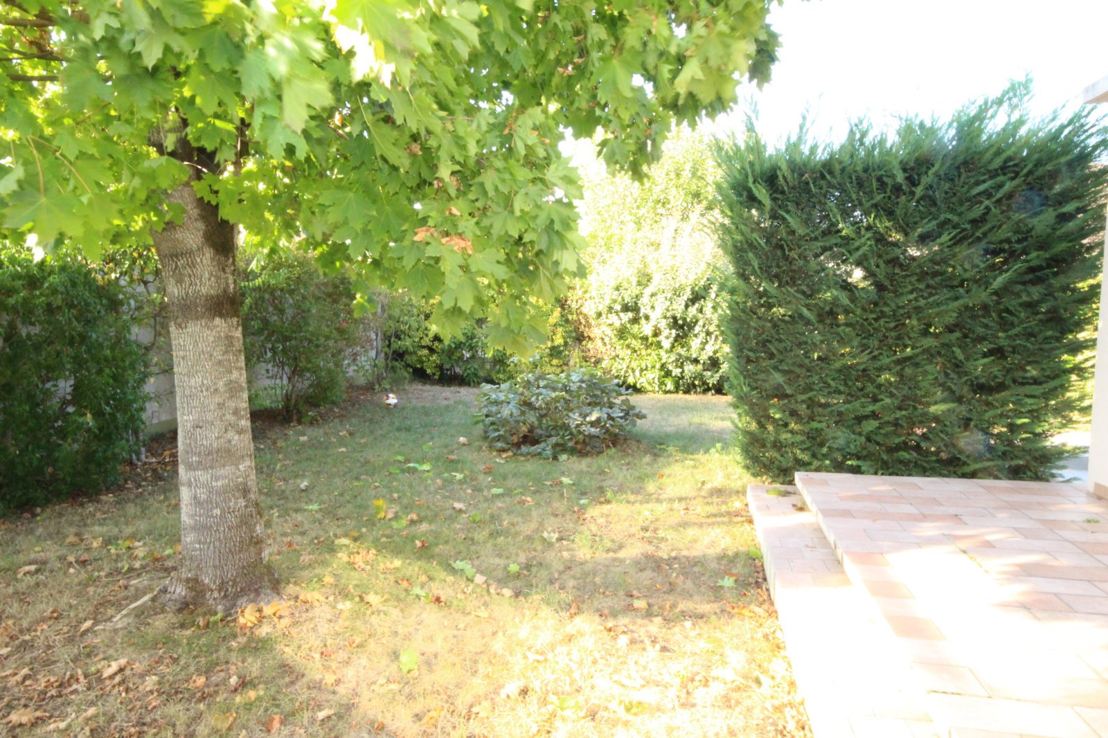 Image_, Maison, Vélizy-Villacoublay, ref :825