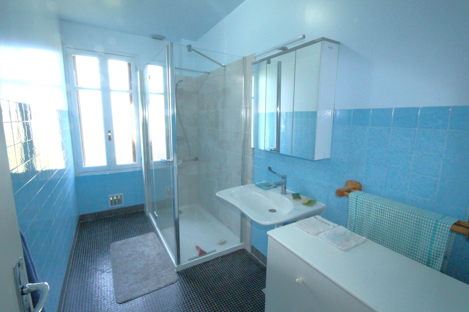 Image_, Maison, Vélizy-Villacoublay, ref :780
