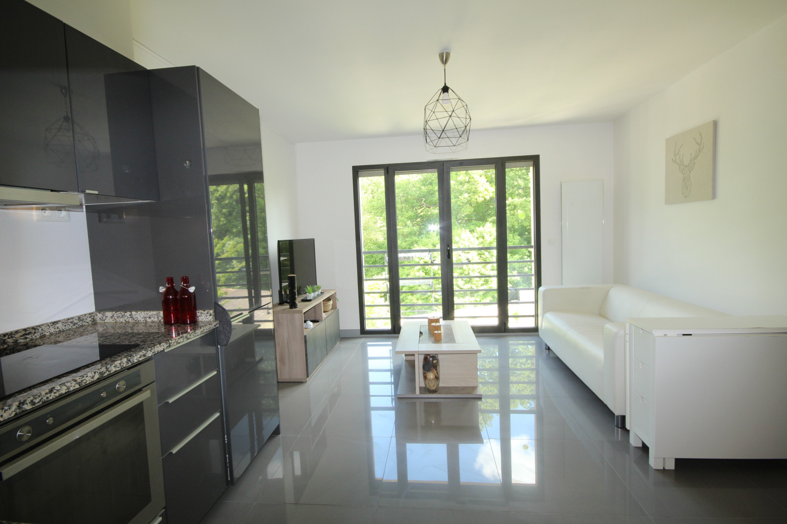 Image_, Appartement, Vélizy-Villacoublay, ref :813