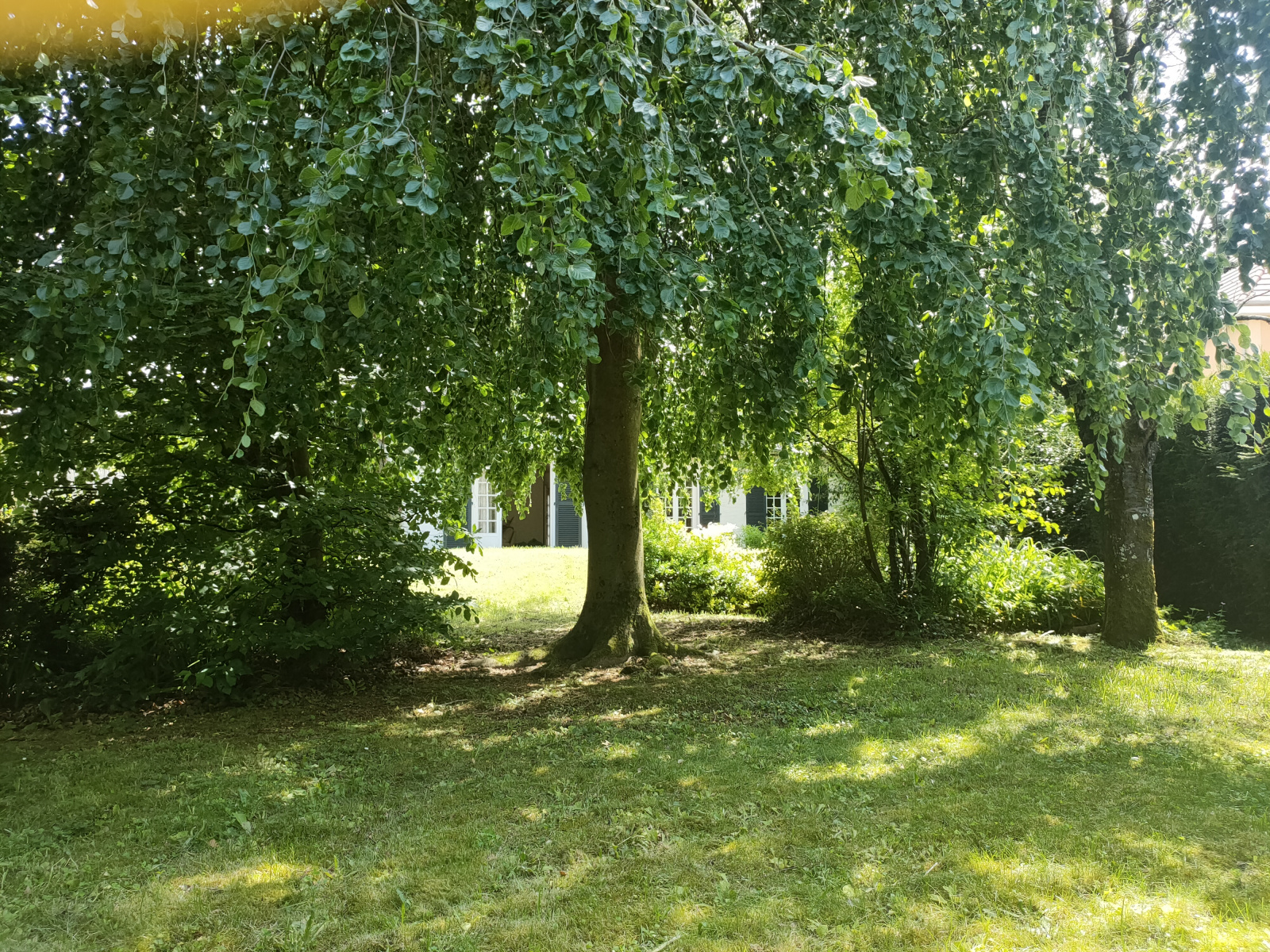 Image_, Villa, Vélizy-Villacoublay, ref :753